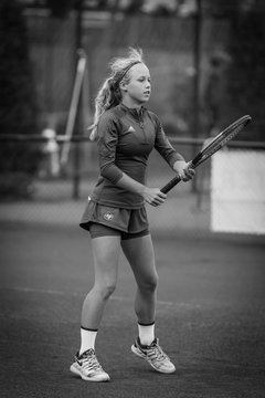 Ausschnitte 1831 - Rosenpokal Uetersen